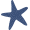 starfish-w-icon